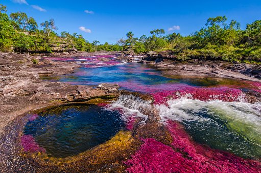 See the River of Five Colors in Cano Cristales, Colombia South America