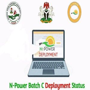 How to Check Your N-Power Batch C Deployment Status on the NASIMS Portal