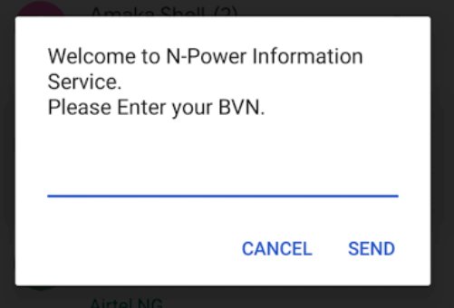 N-Power Batch C: How To Check Your Shortlisted Names and selection Status Using *45665#