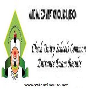 NCEE RESULT 2021 - How to Check 2021 Common Entrance Exam Result for Unity Schools