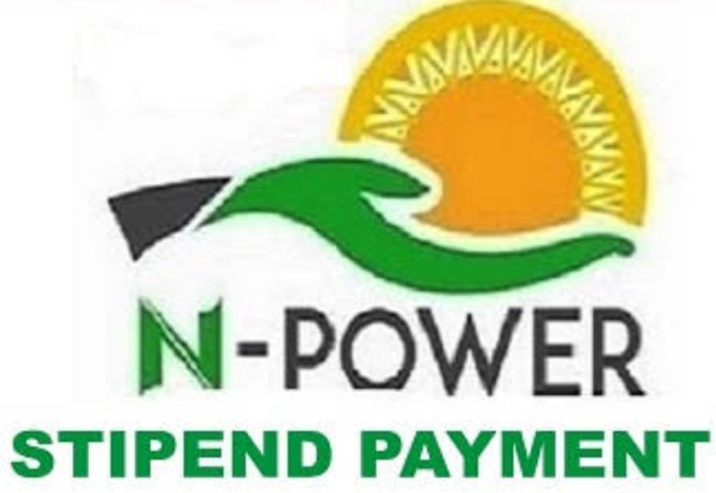 Npower Batch C: How To Fix "No Payment Data" Issue On NASIMS Portal 