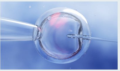 Infertility Treatment: How late is it to go for In Vitro Fertilisation (IVF)