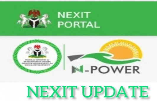 Npower Nexit: See How To Check If Your Business Plan Have Been Submitted